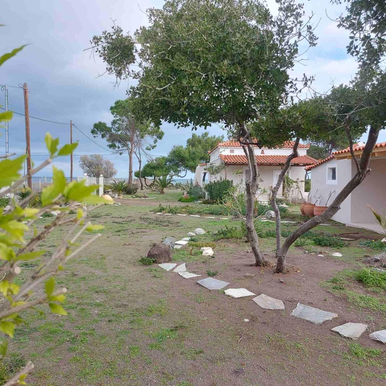 Vintage Beach House Ajía Ána Kültér fotó